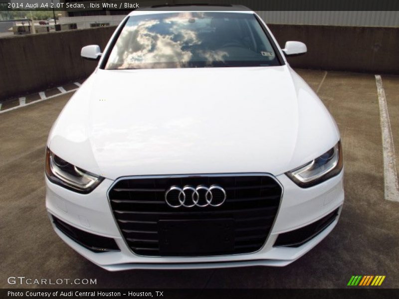 Ibis White / Black 2014 Audi A4 2.0T Sedan
