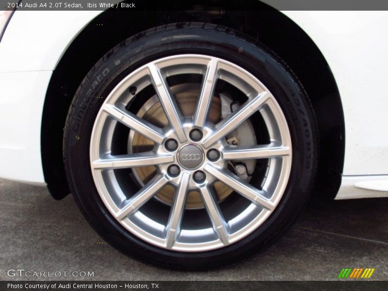 Ibis White / Black 2014 Audi A4 2.0T Sedan