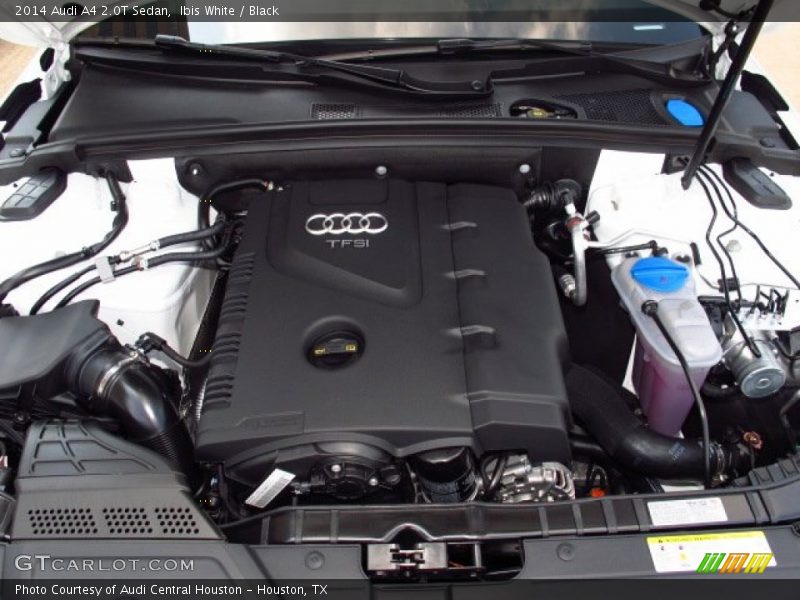 Ibis White / Black 2014 Audi A4 2.0T Sedan