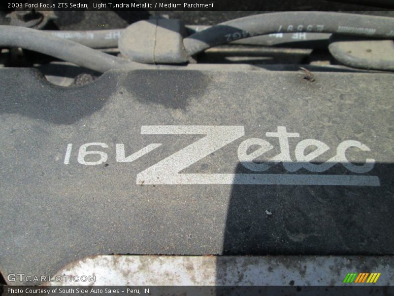 Light Tundra Metallic / Medium Parchment 2003 Ford Focus ZTS Sedan