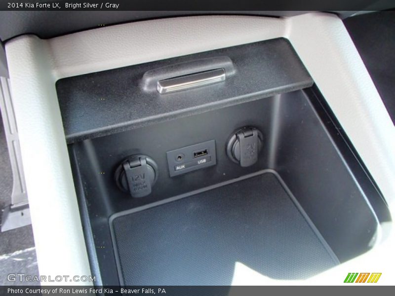Bright Silver / Gray 2014 Kia Forte LX