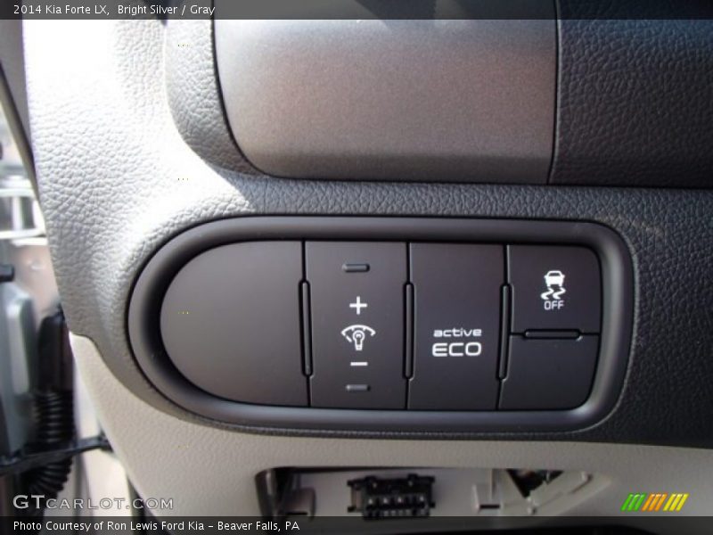 Bright Silver / Gray 2014 Kia Forte LX