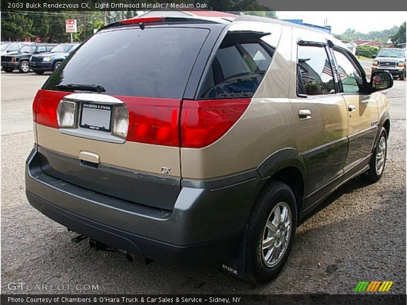 Light Driftwood Metallic / Medium Oak 2003 Buick Rendezvous CX