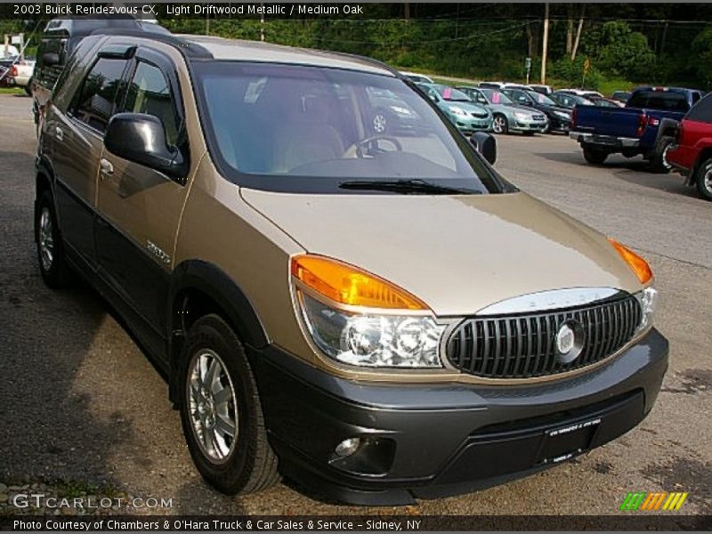 Light Driftwood Metallic / Medium Oak 2003 Buick Rendezvous CX