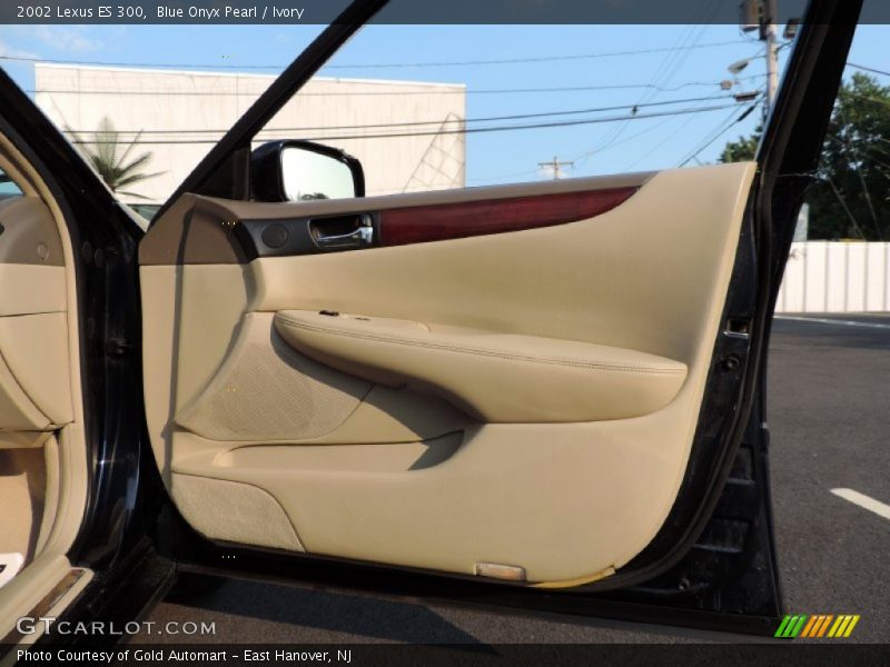 Blue Onyx Pearl / Ivory 2002 Lexus ES 300