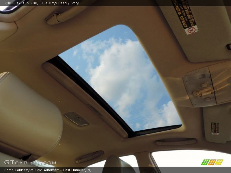 Blue Onyx Pearl / Ivory 2002 Lexus ES 300