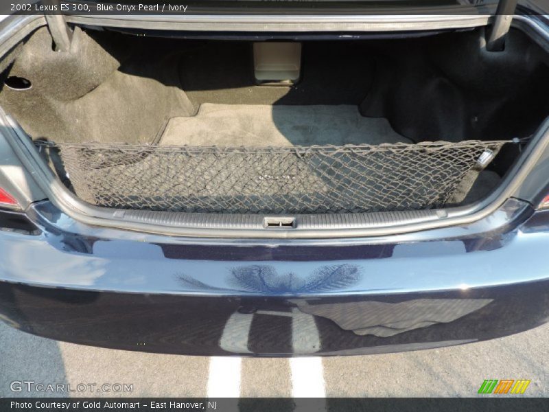 Blue Onyx Pearl / Ivory 2002 Lexus ES 300