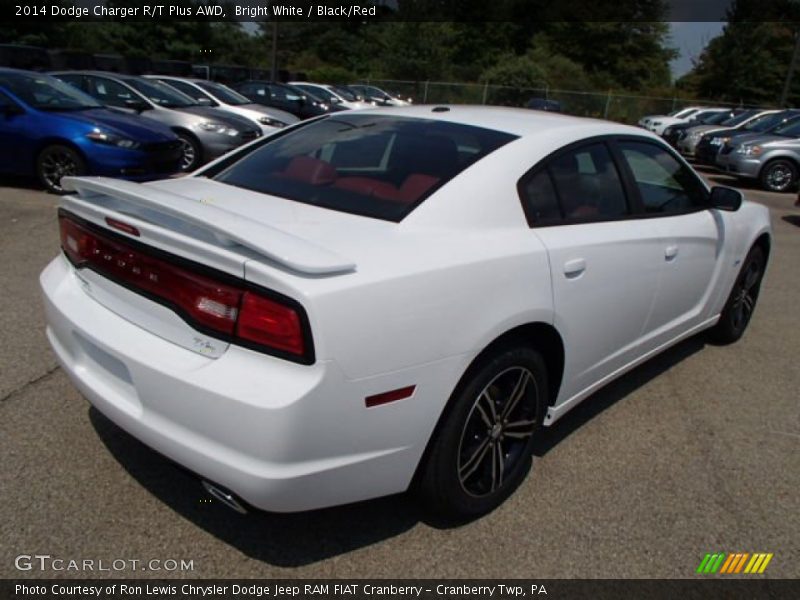 Bright White / Black/Red 2014 Dodge Charger R/T Plus AWD