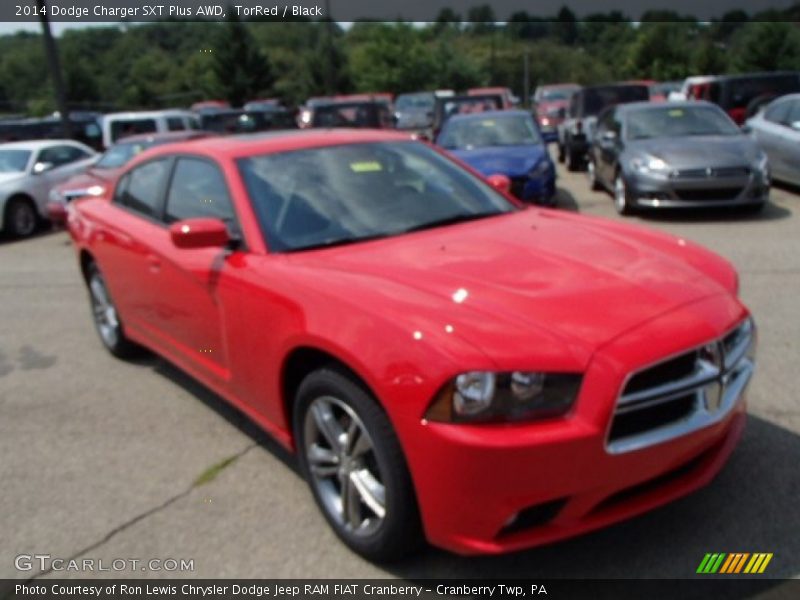 TorRed / Black 2014 Dodge Charger SXT Plus AWD