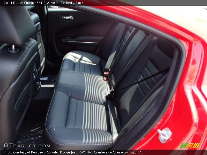 Rear Seat of 2014 Charger SXT Plus AWD