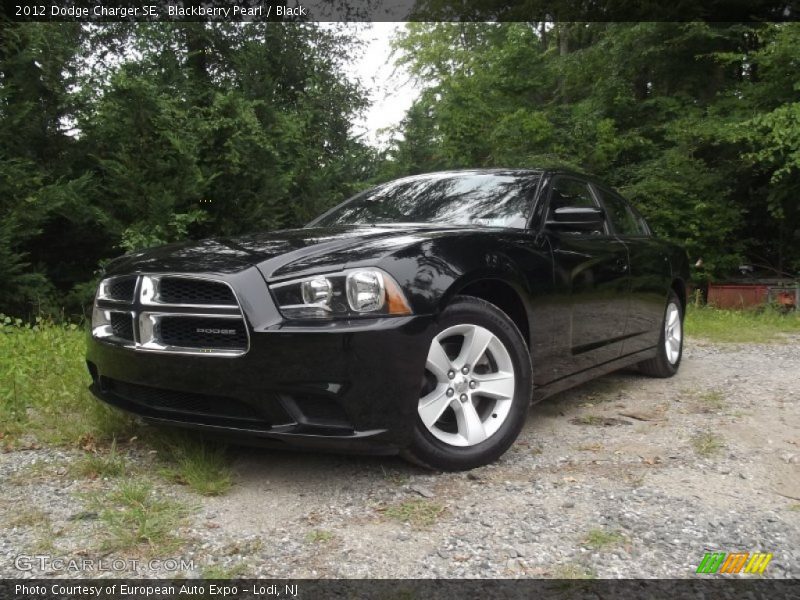 Blackberry Pearl / Black 2012 Dodge Charger SE