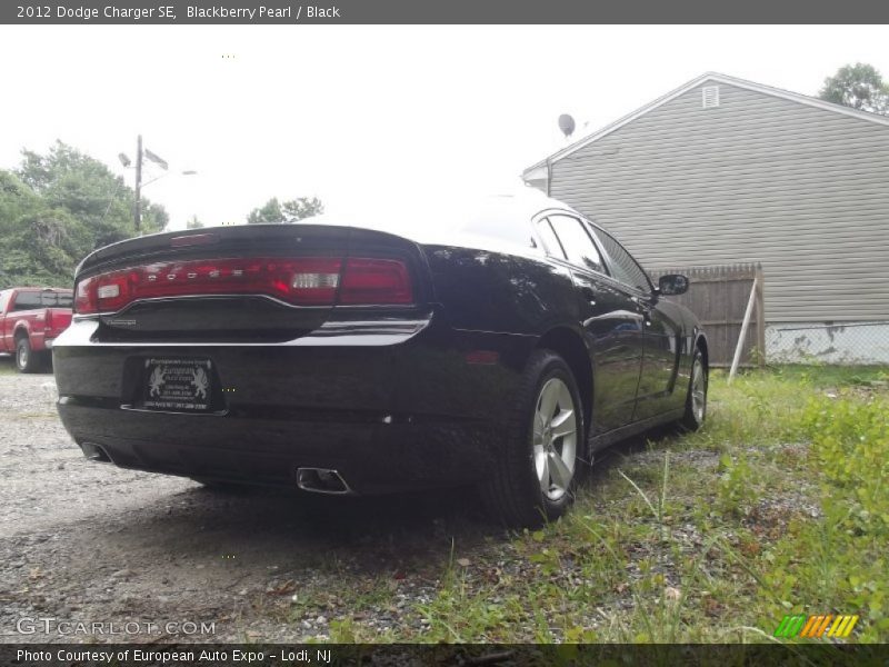 Blackberry Pearl / Black 2012 Dodge Charger SE