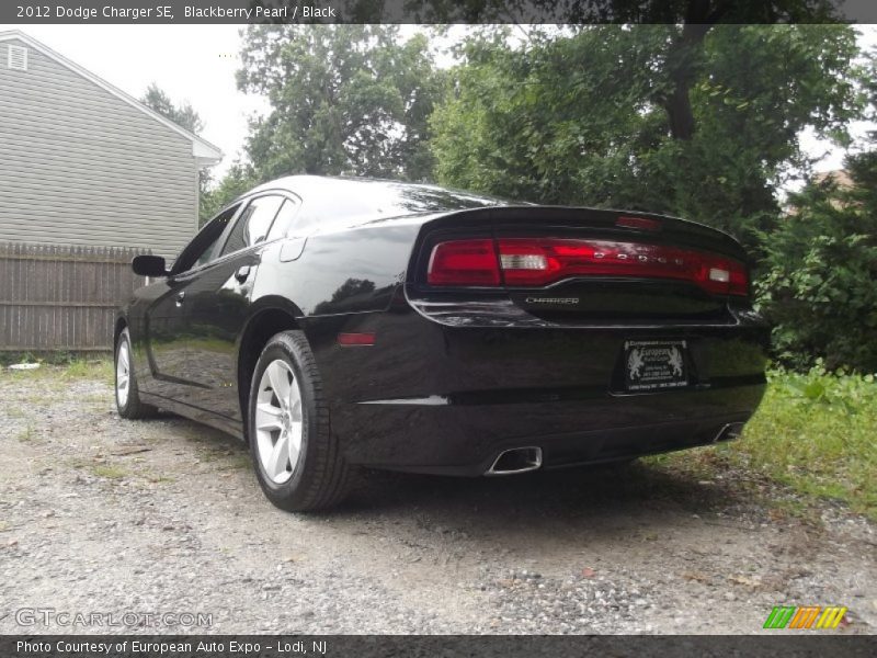 Blackberry Pearl / Black 2012 Dodge Charger SE