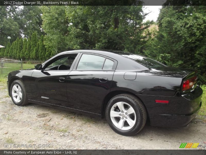 Blackberry Pearl / Black 2012 Dodge Charger SE