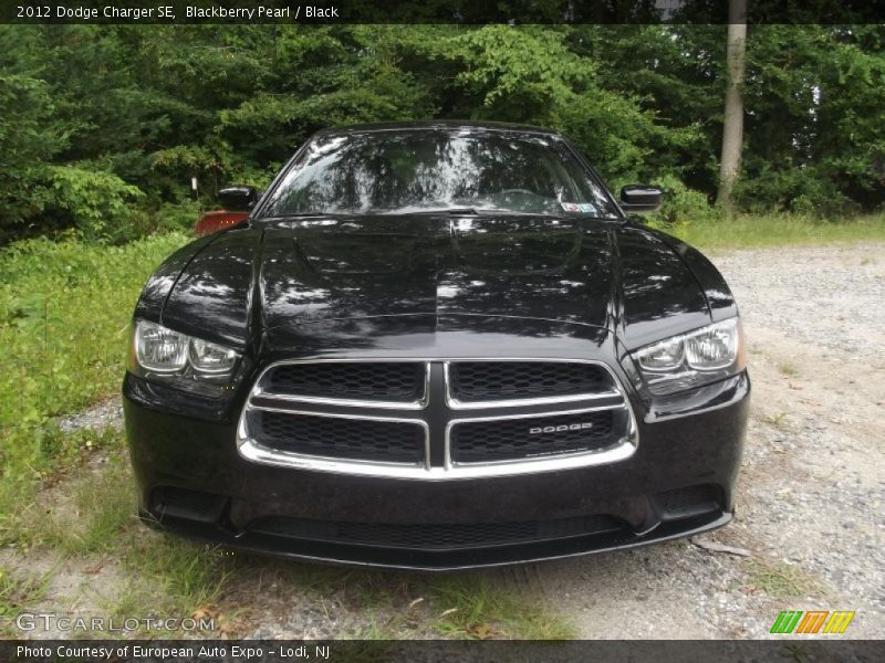Blackberry Pearl / Black 2012 Dodge Charger SE