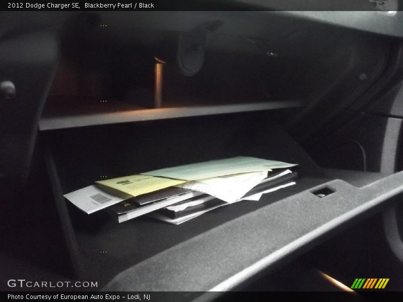 Blackberry Pearl / Black 2012 Dodge Charger SE