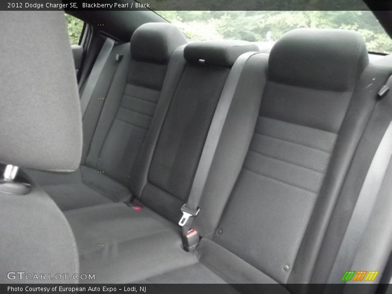 Blackberry Pearl / Black 2012 Dodge Charger SE