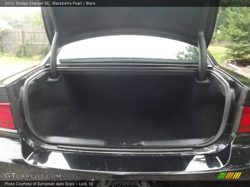Blackberry Pearl / Black 2012 Dodge Charger SE