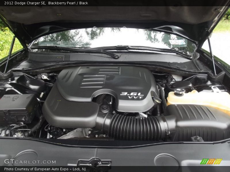 Blackberry Pearl / Black 2012 Dodge Charger SE