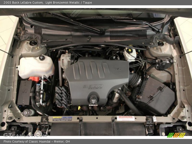 Light Bronzemist Metallic / Taupe 2003 Buick LeSabre Custom