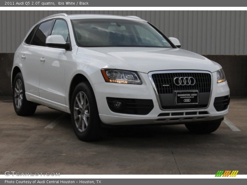 Ibis White / Black 2011 Audi Q5 2.0T quattro