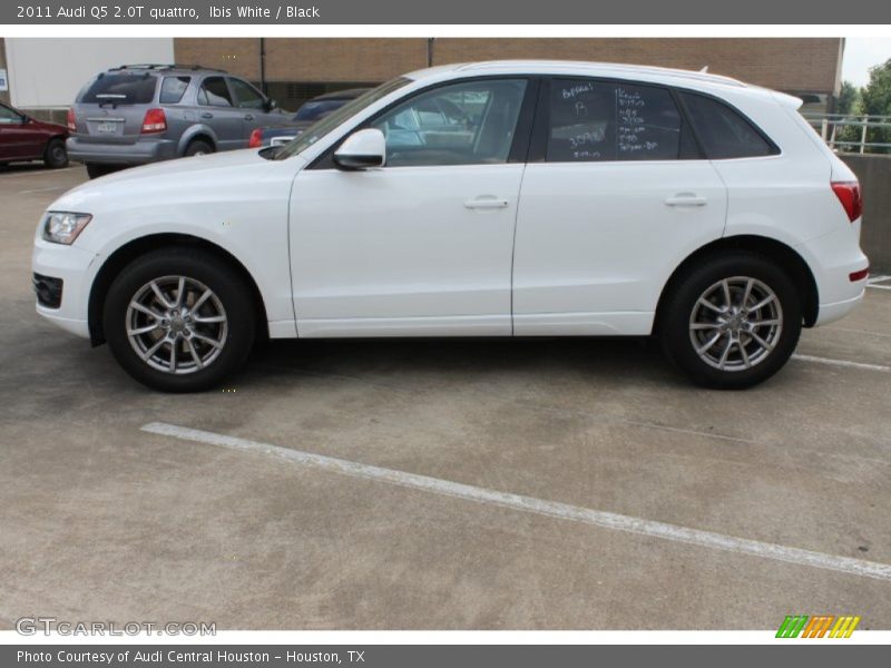 Ibis White / Black 2011 Audi Q5 2.0T quattro