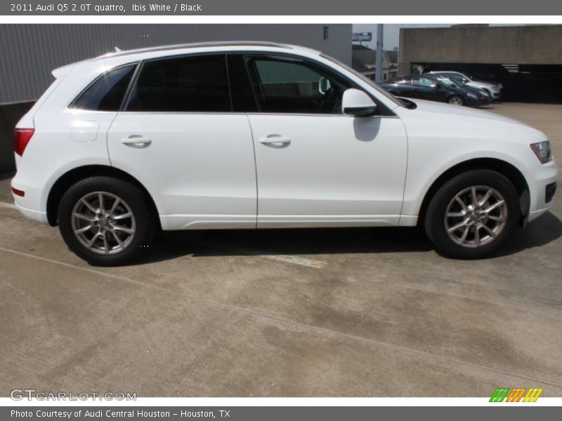 Ibis White / Black 2011 Audi Q5 2.0T quattro