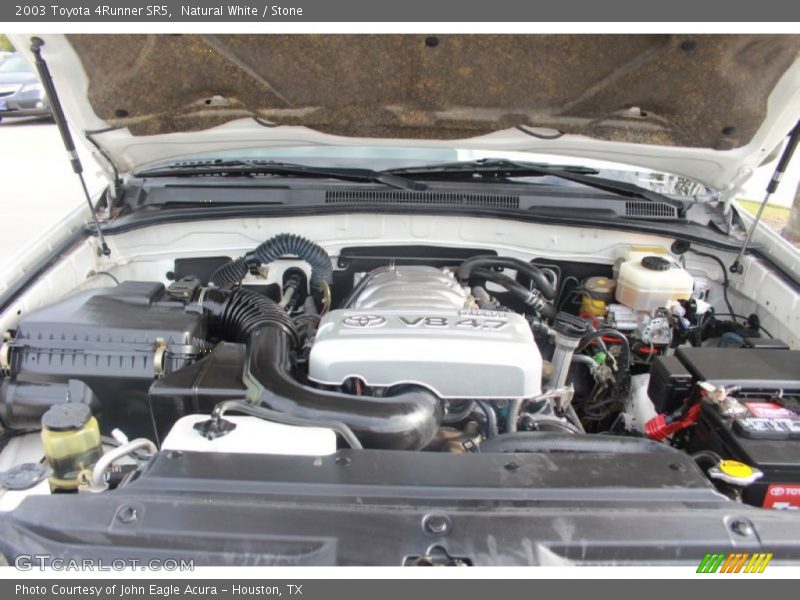 Natural White / Stone 2003 Toyota 4Runner SR5