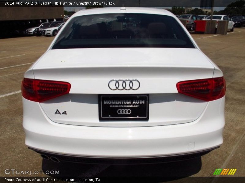 Ibis White / Chestnut Brown/Black 2014 Audi A4 2.0T Sedan