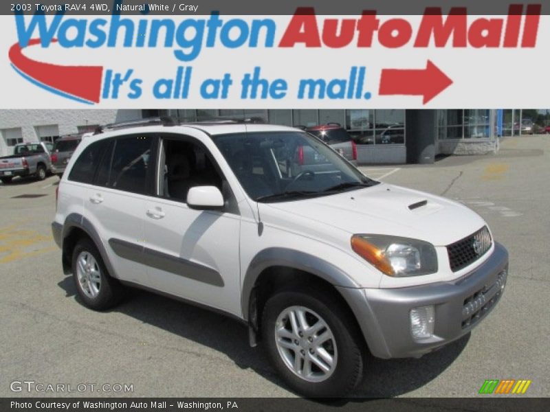 Natural White / Gray 2003 Toyota RAV4 4WD