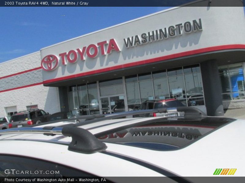 Natural White / Gray 2003 Toyota RAV4 4WD