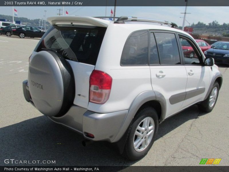 Natural White / Gray 2003 Toyota RAV4 4WD