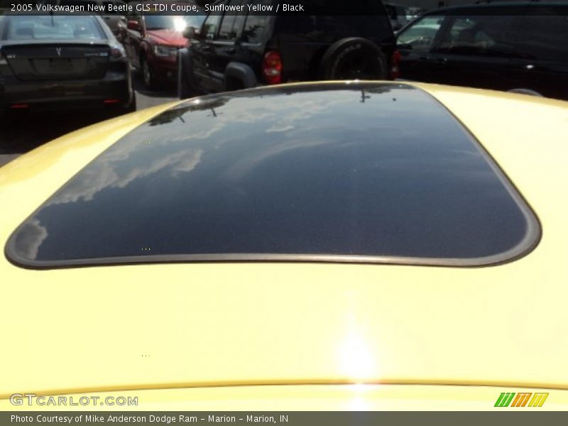 Sunflower Yellow / Black 2005 Volkswagen New Beetle GLS TDI Coupe