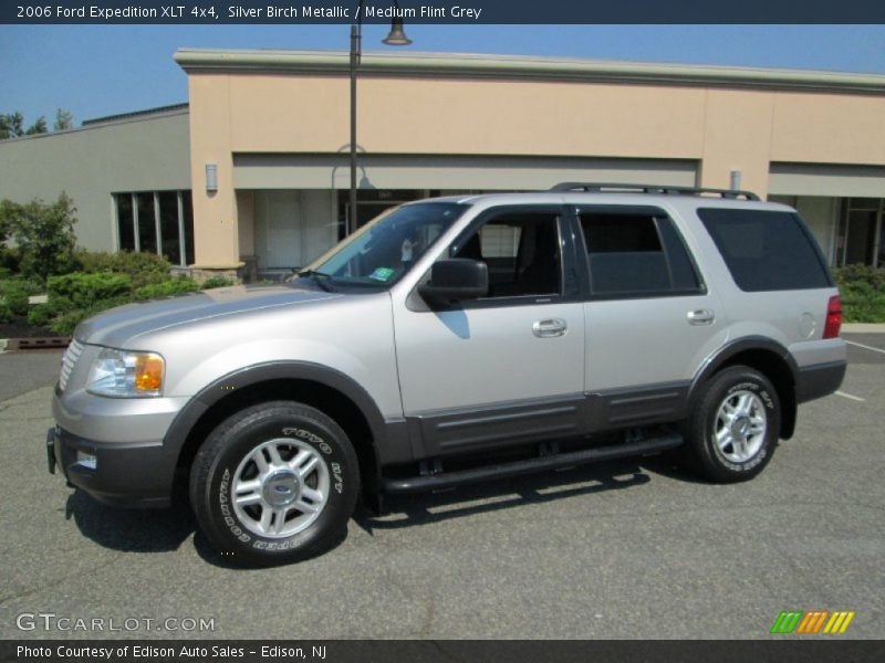 Silver Birch Metallic / Medium Flint Grey 2006 Ford Expedition XLT 4x4