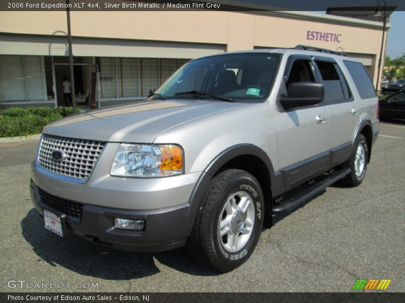 Silver Birch Metallic / Medium Flint Grey 2006 Ford Expedition XLT 4x4