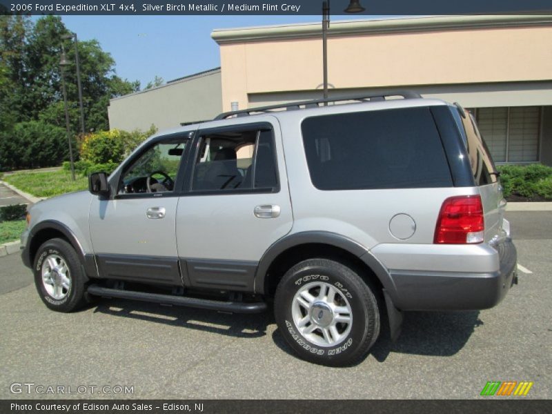 Silver Birch Metallic / Medium Flint Grey 2006 Ford Expedition XLT 4x4