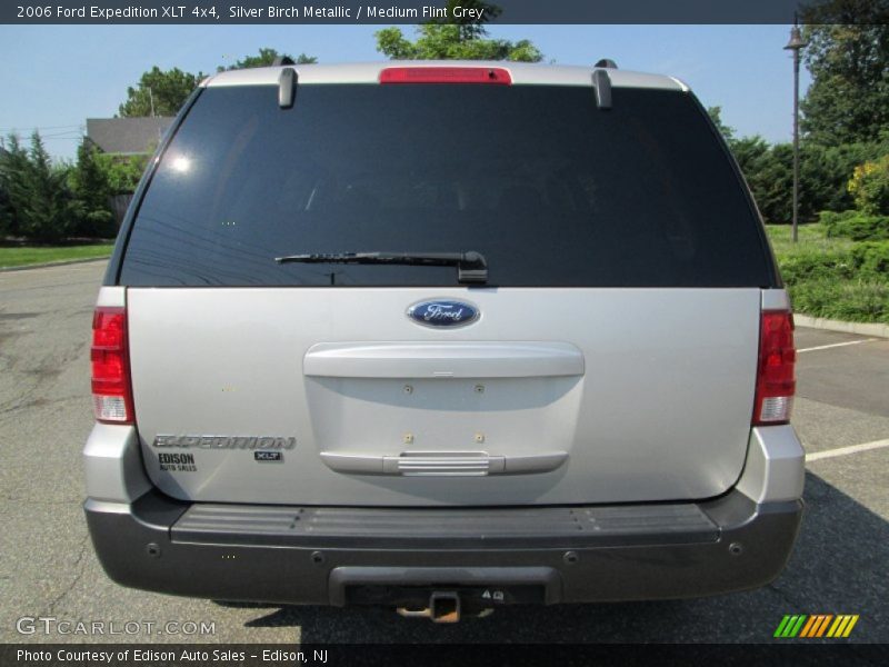 Silver Birch Metallic / Medium Flint Grey 2006 Ford Expedition XLT 4x4