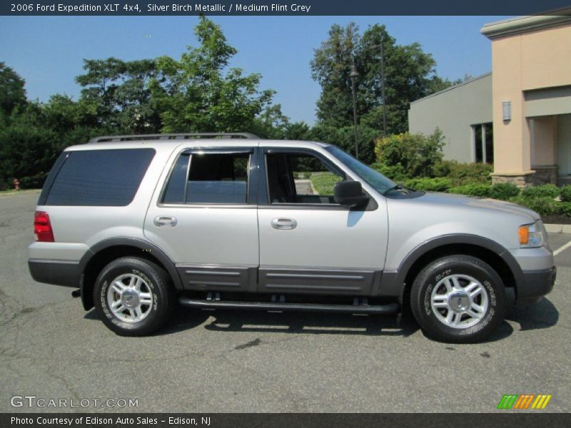 Silver Birch Metallic / Medium Flint Grey 2006 Ford Expedition XLT 4x4