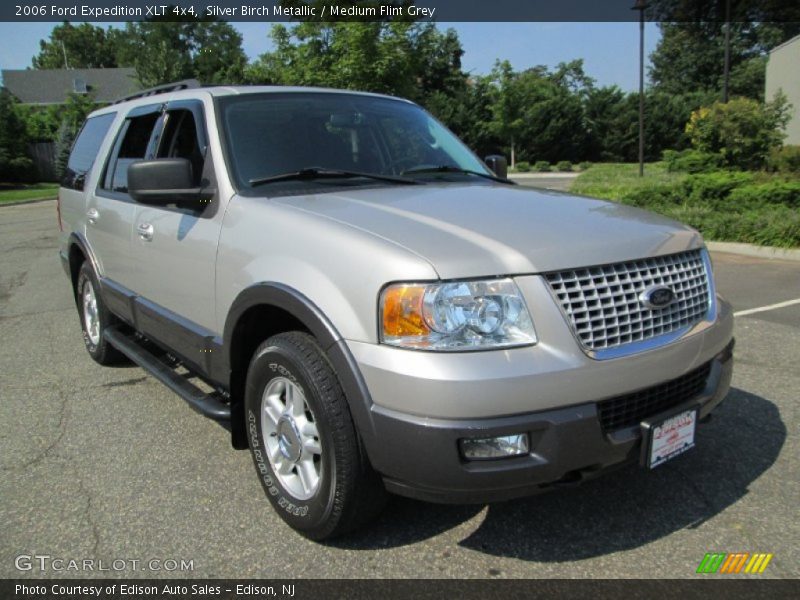 Silver Birch Metallic / Medium Flint Grey 2006 Ford Expedition XLT 4x4