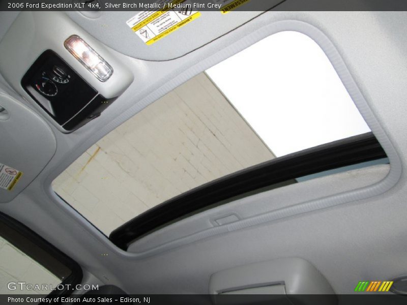 Silver Birch Metallic / Medium Flint Grey 2006 Ford Expedition XLT 4x4