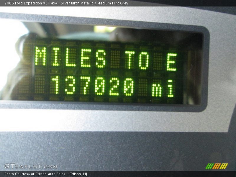 Silver Birch Metallic / Medium Flint Grey 2006 Ford Expedition XLT 4x4