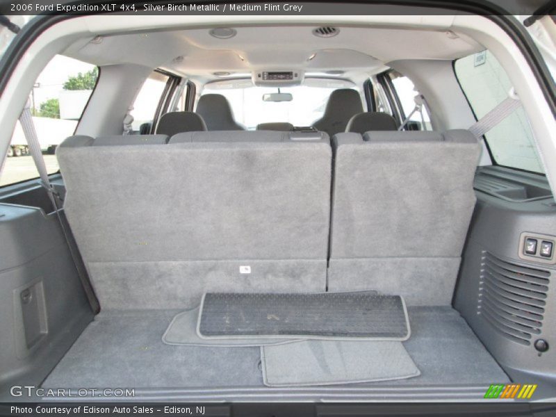 Silver Birch Metallic / Medium Flint Grey 2006 Ford Expedition XLT 4x4