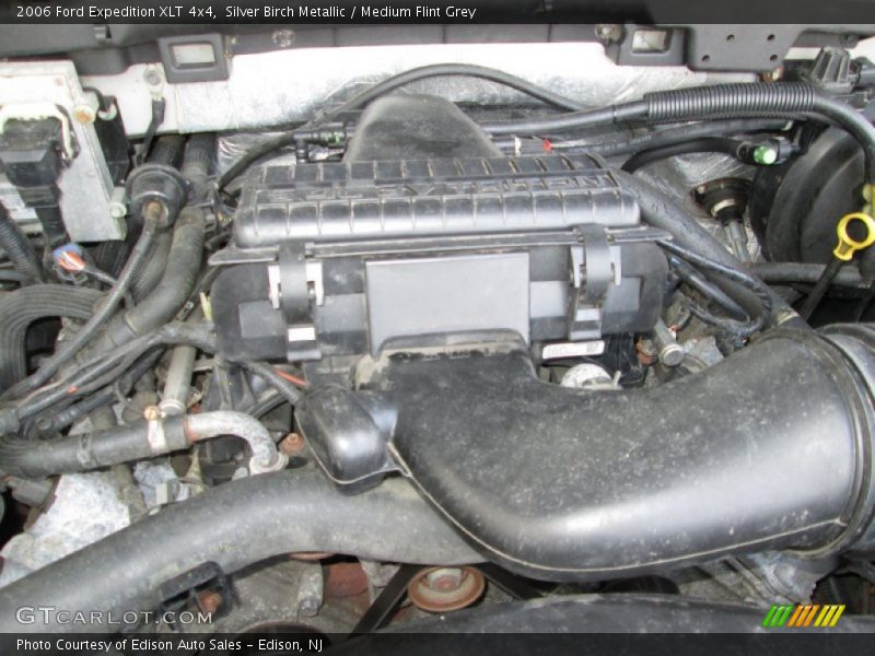 Silver Birch Metallic / Medium Flint Grey 2006 Ford Expedition XLT 4x4