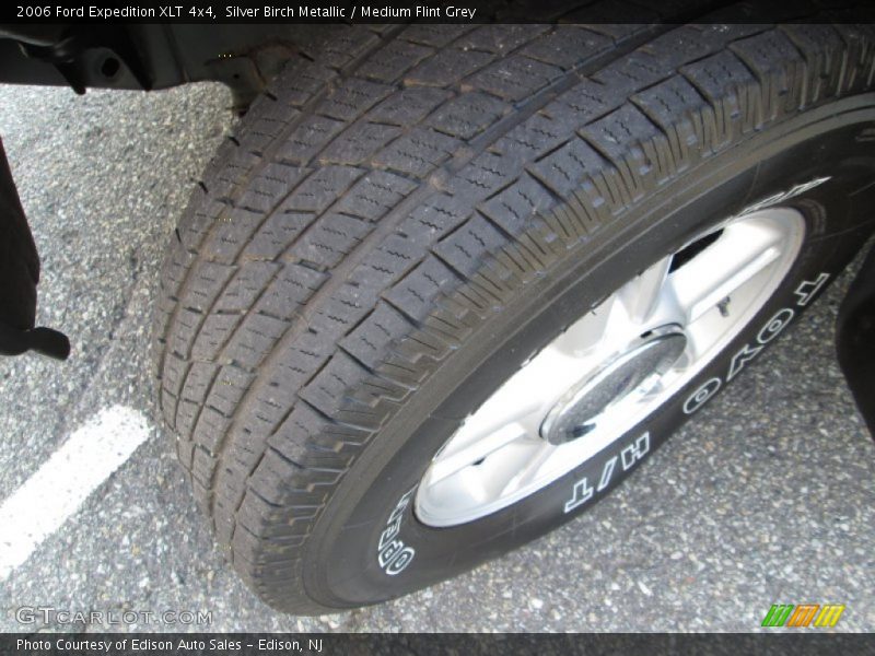 Silver Birch Metallic / Medium Flint Grey 2006 Ford Expedition XLT 4x4