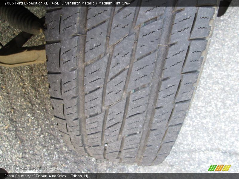 Silver Birch Metallic / Medium Flint Grey 2006 Ford Expedition XLT 4x4