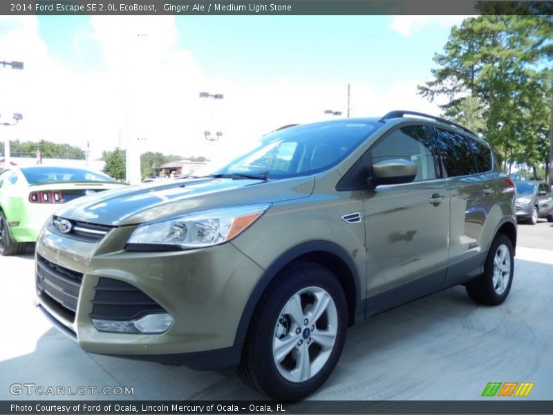 Ginger Ale / Medium Light Stone 2014 Ford Escape SE 2.0L EcoBoost