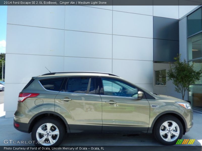 Ginger Ale / Medium Light Stone 2014 Ford Escape SE 2.0L EcoBoost