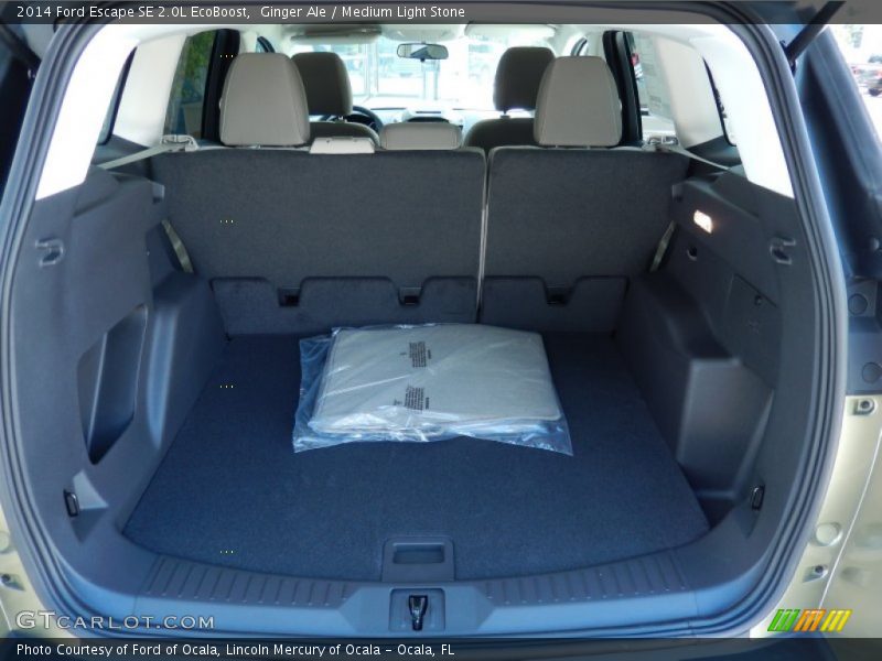 Ginger Ale / Medium Light Stone 2014 Ford Escape SE 2.0L EcoBoost