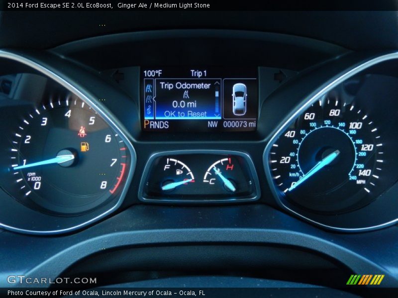 Ginger Ale / Medium Light Stone 2014 Ford Escape SE 2.0L EcoBoost