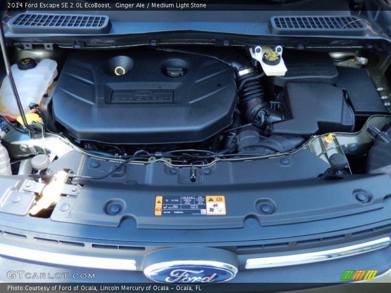 Ginger Ale / Medium Light Stone 2014 Ford Escape SE 2.0L EcoBoost